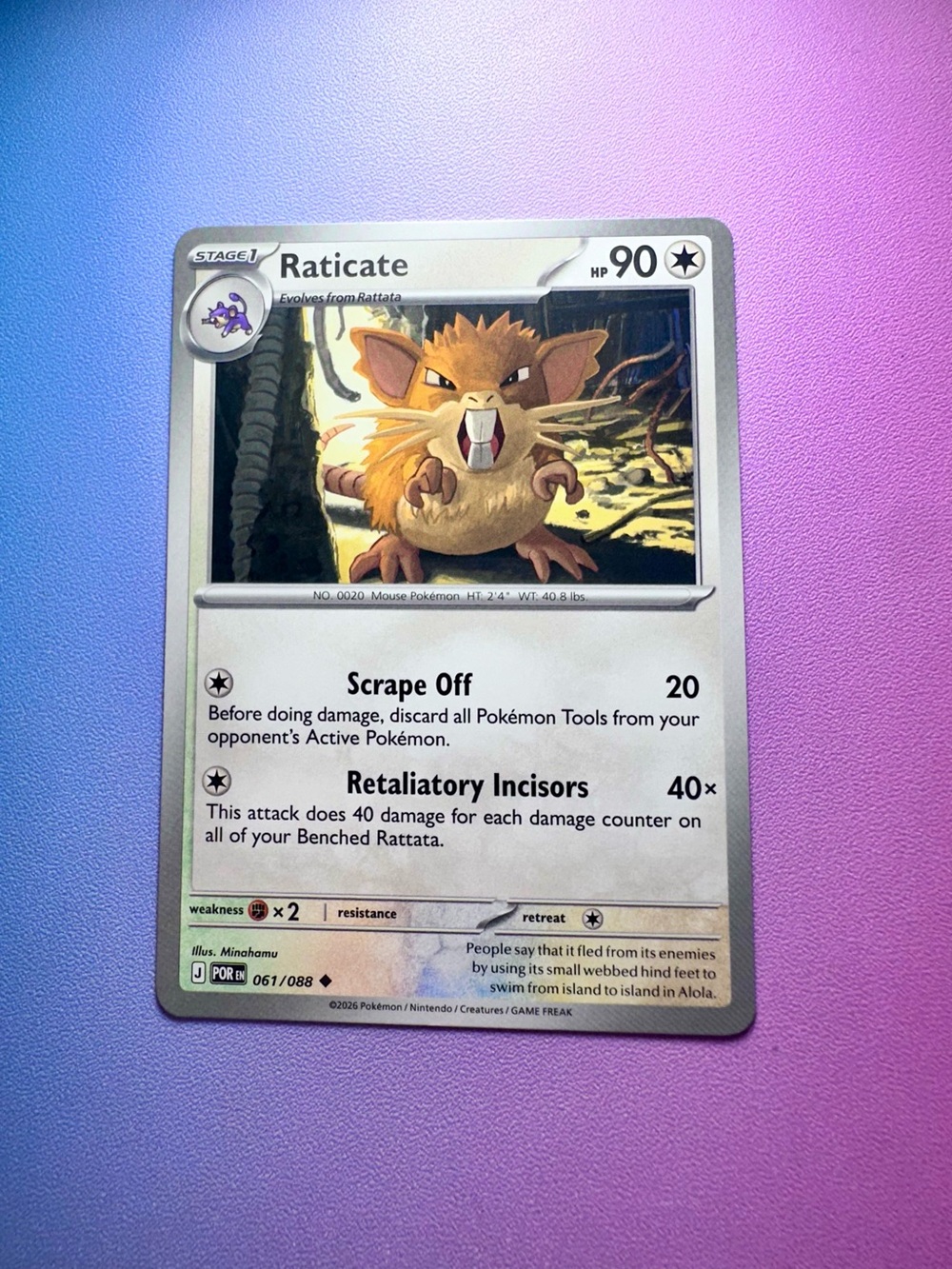 raticate - 061/088 (uncommon) — pokemon: perfect order